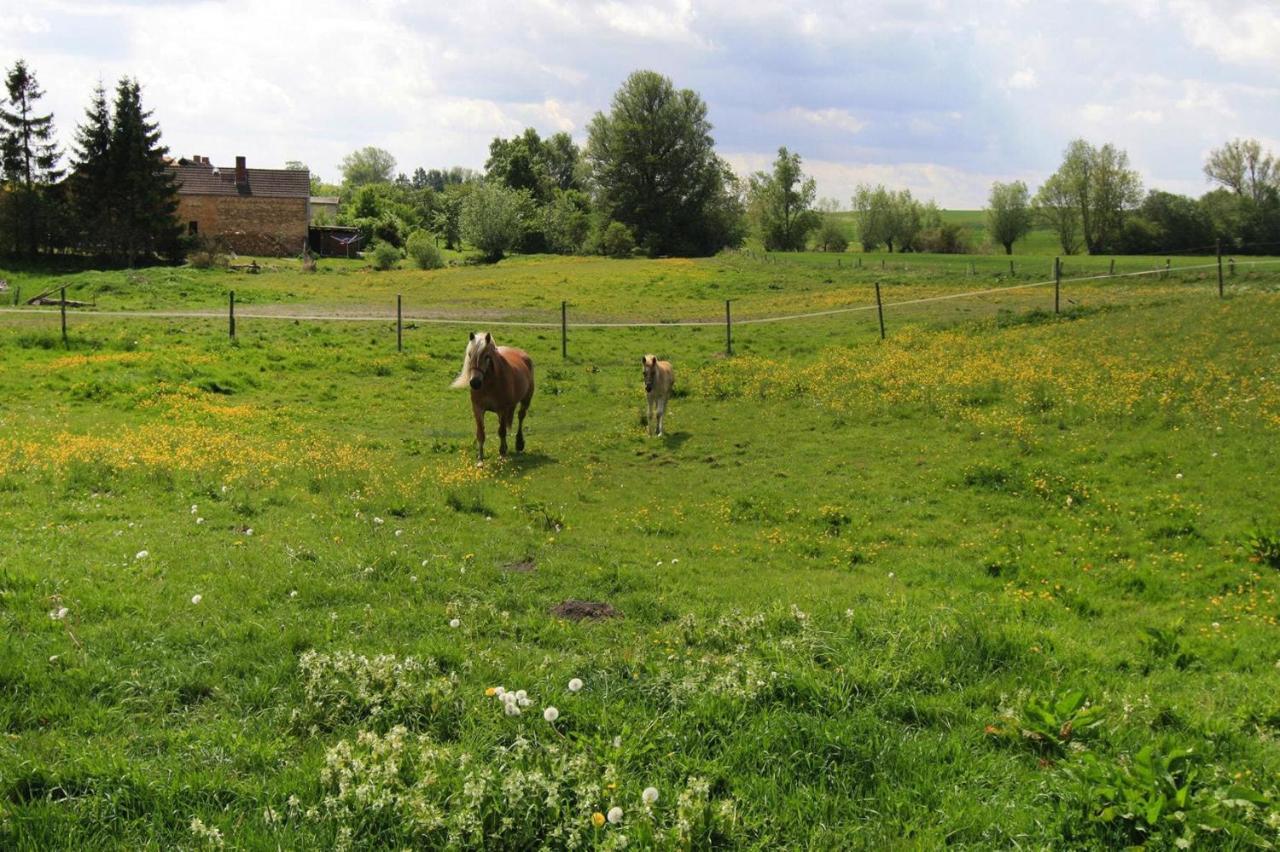 Vacation Home, Zahrensdorf ภายนอก รูปภาพ